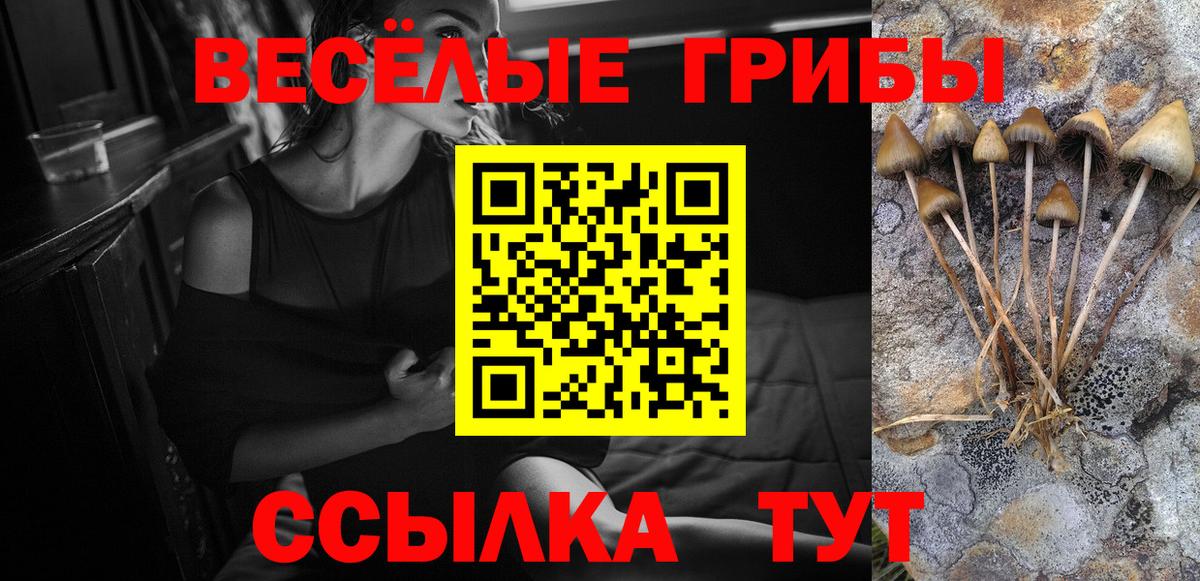 Галлюциногенные грибы Psilocybine cubensis Всеволожск